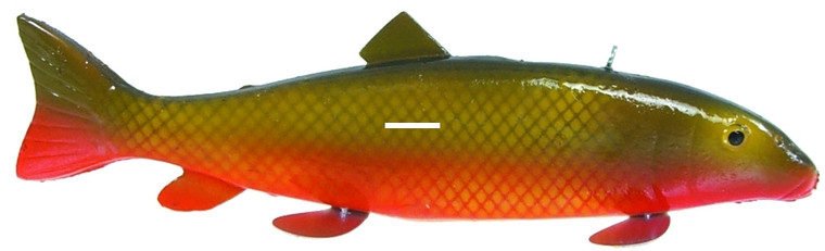 K&E Bear Creek Decoy - 9'' Natural Sucker 1pk