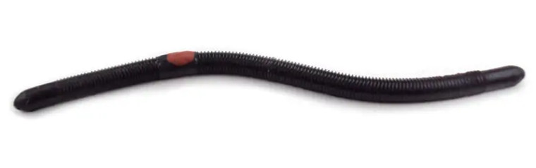 Kelly's Pier Boy Special - 5.5'' Black Berry Black