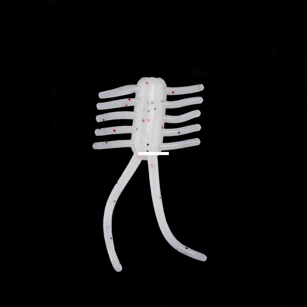 Lake Effect - Crazy Bug - .75" White 10pk