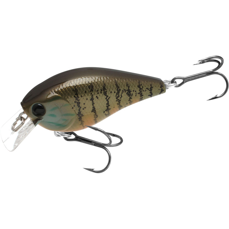 Lucky Craft - Lucky Craft - 1.5 - 1/2oz 2.4'' Gold PumpkinSeed