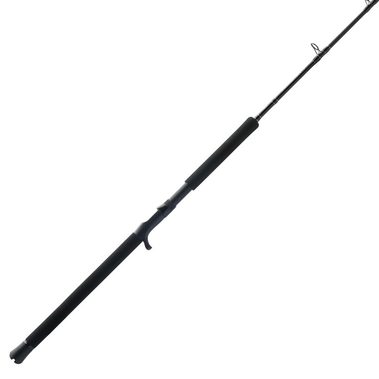 PENN Rod Squad IV Jig Cnvtl - C 6' 2'' 1pc MH ModF