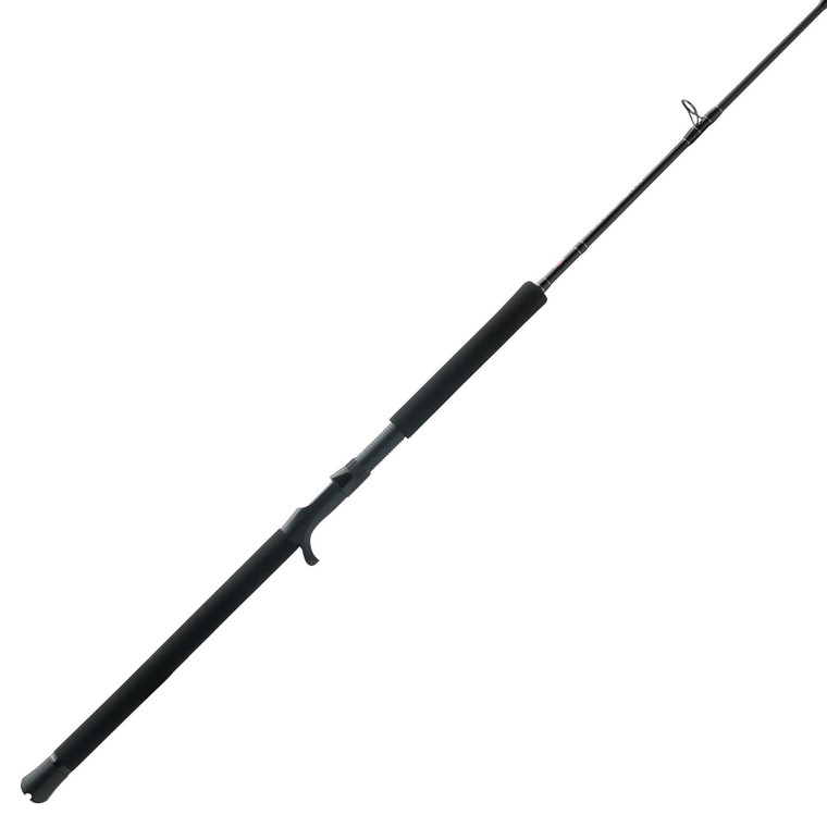 PENN Rod Squad IV Jig Cnvtl - C 6' 6'' 1pc M ModF