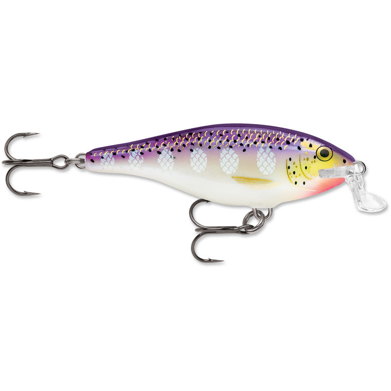 Rapala Shallow Shad Rap - #7 Purpldscnt