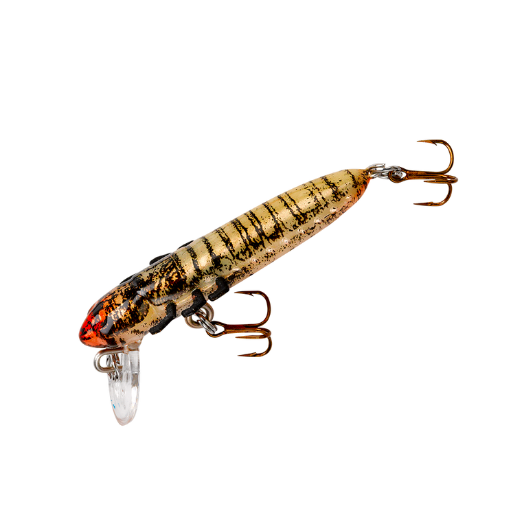 Rebel Hellgrammite - 1.75'' Molting