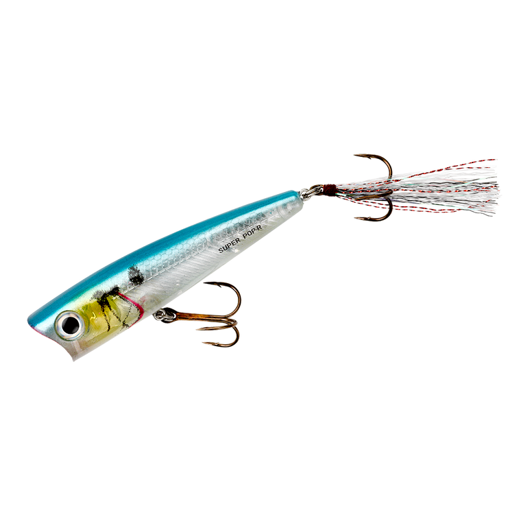 Rebel Mag Pop R - 3.125'' Blue Darter
