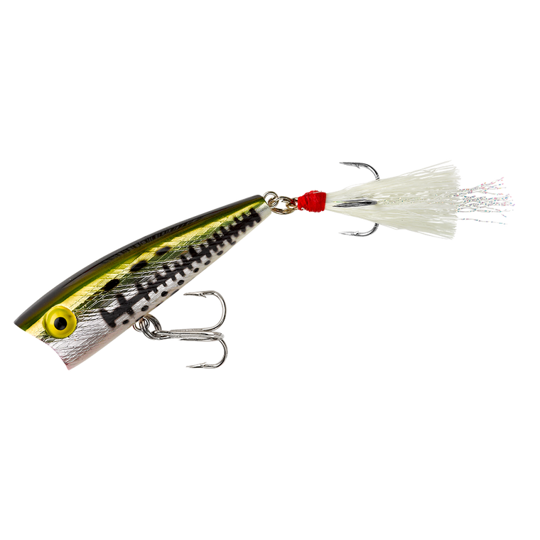 Rebel Teeny Pop R - 2'' Ol' Bass