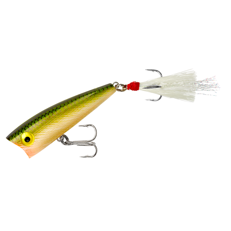 Rebel Teeny Pop R - 2'' Tennessee Shad
