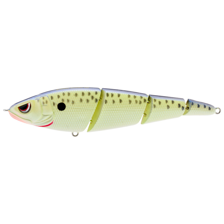Spro Sashimmy Swimmer - 3/4oz 125mm Cell Mate