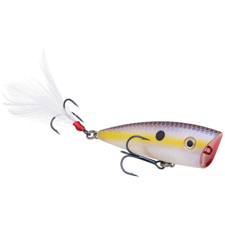 Strike King HC KVD Splash Jr - Chart Shad