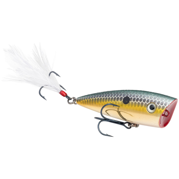 Strike King HC KVD Splash Jr - Gold Sexy Shad