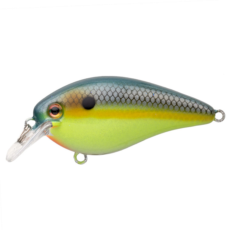 Strike King KVD 1.5 HaKnck E - Chart Sexy Shad 2.0