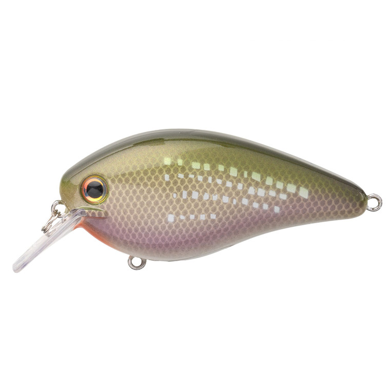 Strike King KVD Elite 4.0 - Pro River Shiner