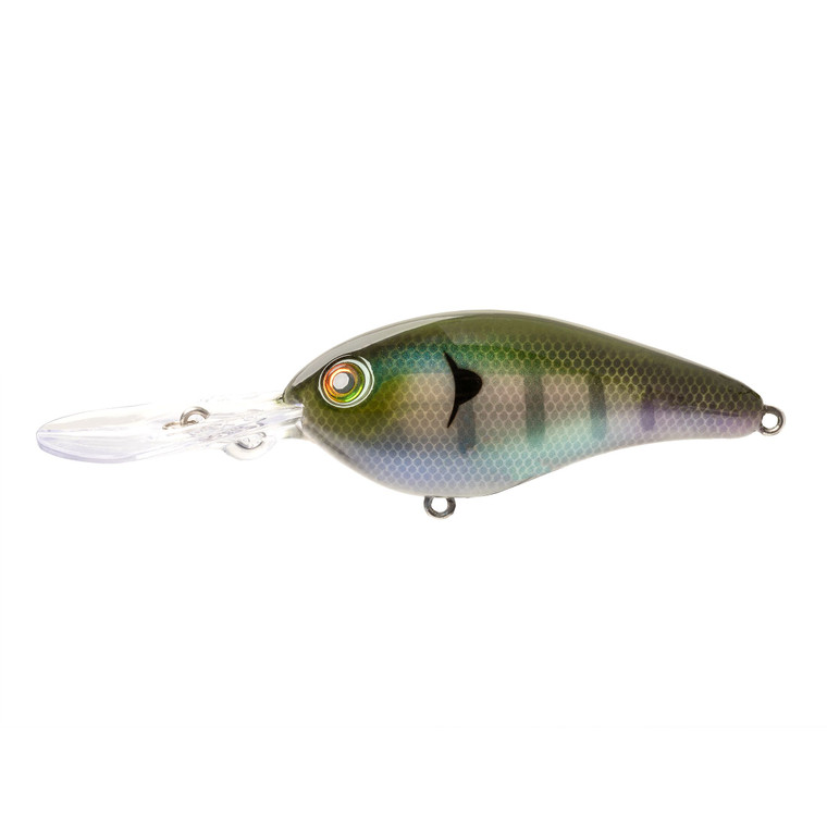 Strike King Pro-Model 8 XD E - The Real Gill