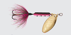 Yakima Rooster Tail - 1/6oz Swing Gold; Rainbow
