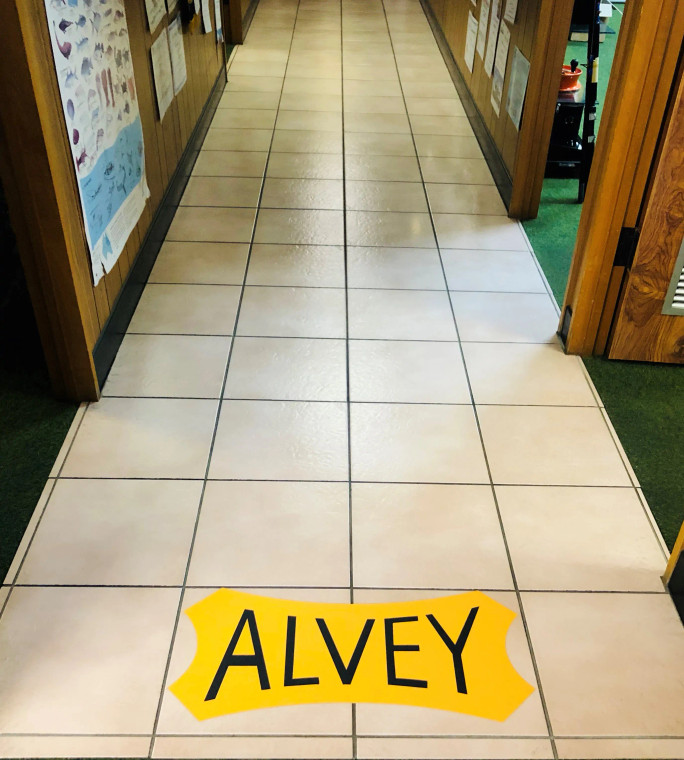 Alvey - Floor Decal - Yellow X-large - ADECALXL1