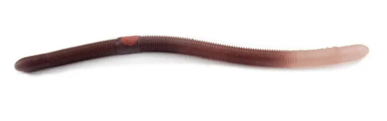 Kelly's Annealed - Plow Jockey Worm - 5.5in 12cd Neutrl Clr Tl - PJ 100 NCT