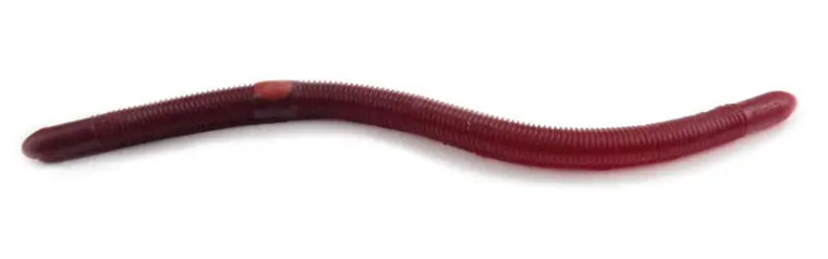 Kelly's Annealed - Plow Jockey Worm - 5.5in 12cd Red Swamp Ber - PJ 100 RSB