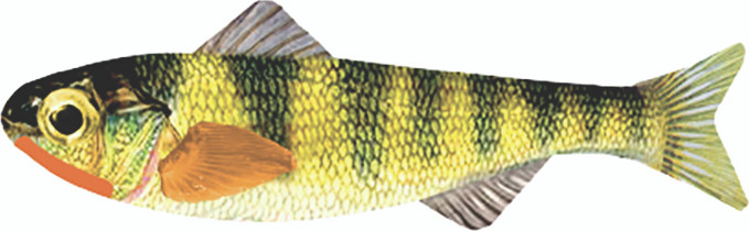 HeadHunter Keystone Minnow, 1/16oz Natural Perch 6pk