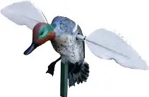 Mojo - Green Wing Teal Decoy - 4aa - HW8101