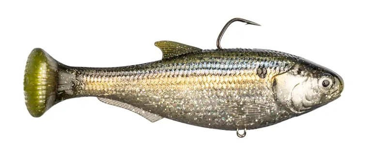 Z-Man - Shadtron Lt - 6in Slow Sink Threadfin -
