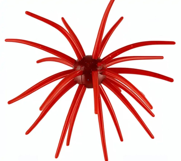 Sea Star - Star Burst - 3/4in Core Scuppernong 1bx -