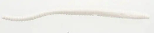 Berkley - Power Flt Trout Worm - 3in 15pk White - PBHFTW3-WH