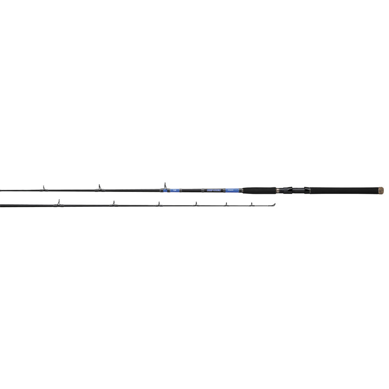 Daiwa Rod Beefstick Boat, C 6' 6'' 1pc XH XF
