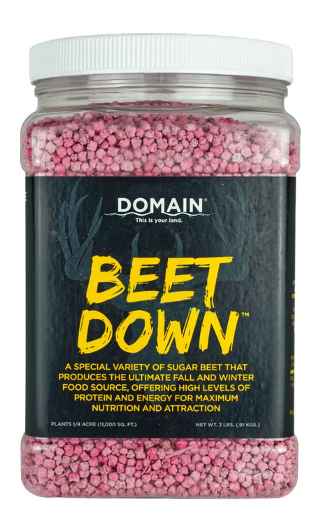 Domain Bdfp2 Beet Down