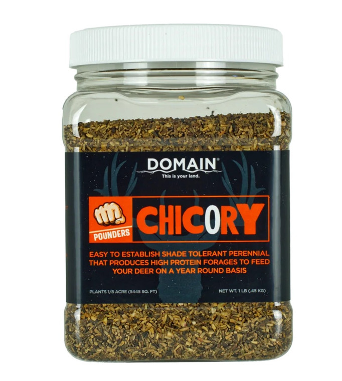 Domain Dcs1lb Pounder Chicory