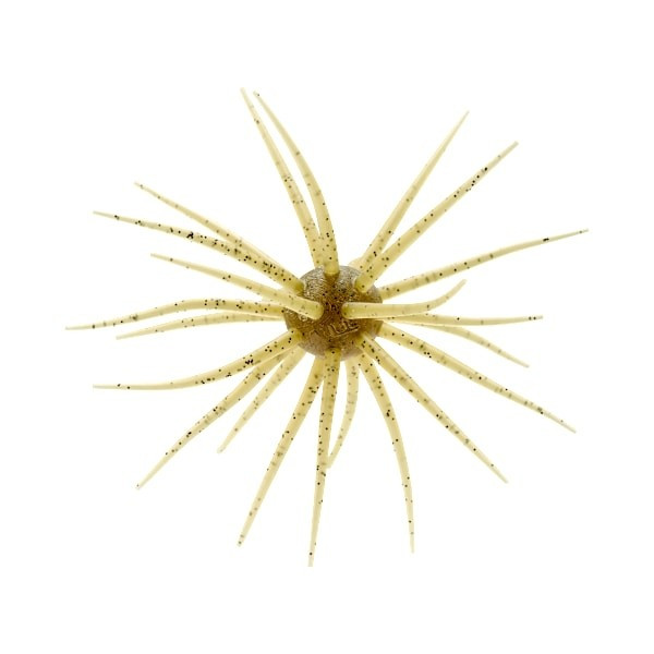 Hideup Coike, 17mm Watermelon Seed