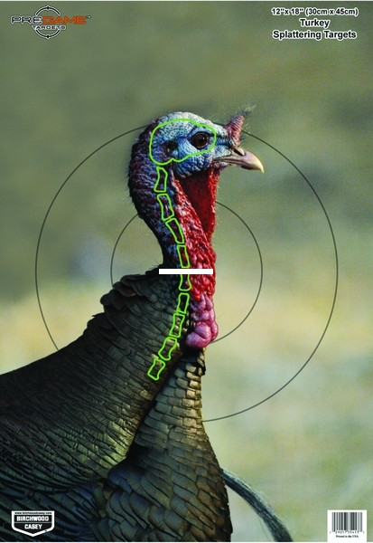 Birchwood Casey 35403 PreGame - Turkey 12x18 Target 8/Pk - 35403