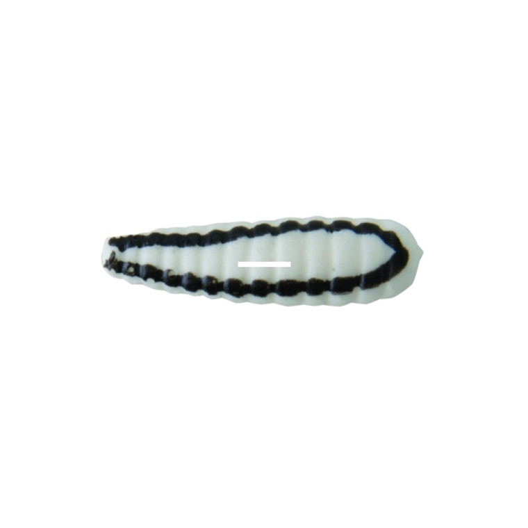 Johnson BSVP1/32-WBS Beetle Spin - Jig, 1", 1/32 oz, White/Black - BSVP1/32-WBS Johnson BSVP1/32-WBS Beetle Spin - Jig, 1", 1/32 oz, White/Black - BSVP1/32-WBS