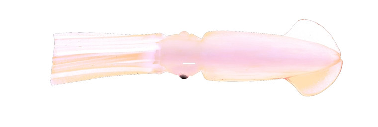 P-Line PLCS45-311 Ling Cod Squid - Rig 2Hk 4-1/2" Pearl Glitter - PLCS45-311