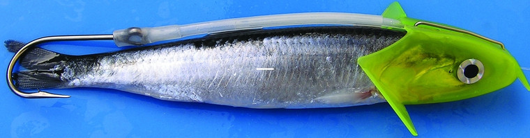 Shelton AFBRCHRIG Franko Bullet - Rotator(FBR) 30lb Char - AFBRCHRIG