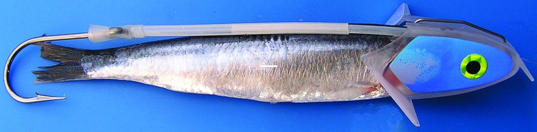 Shelton AFBRUVRIG Franko Bullet - Rotator(FBR) 30lb UV - AFBRUVRIG