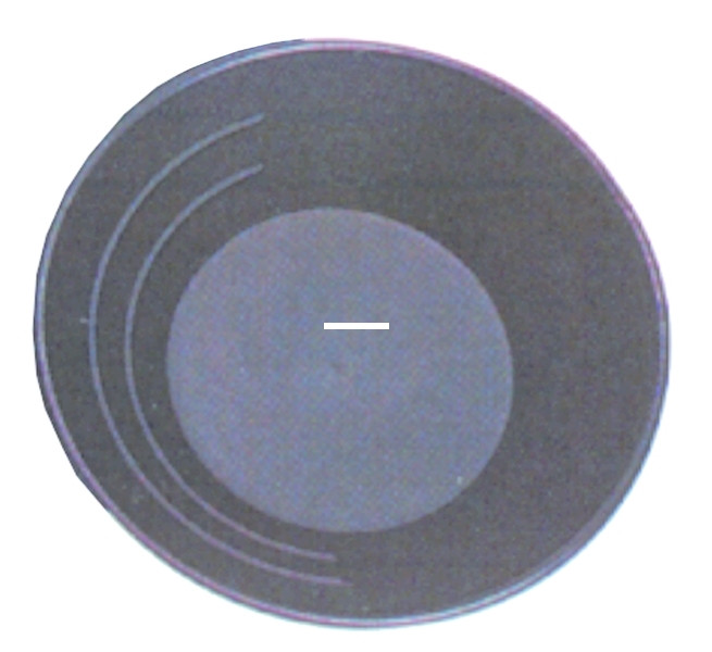 Stansport 607 Gold Pan - Plastic - 13 3/4 In - 607