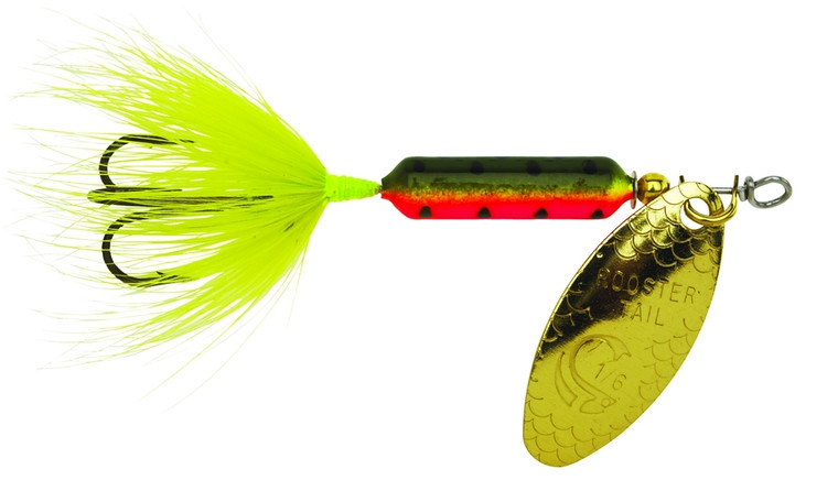 Wordens 214-FRT Rooster Tail - In-Line Spinner, 3", 3/8 oz, Treble - 214-FRT Wordens 214-FRT Rooster Tail - In-Line Spinner, 3", 3/8 oz, Treble - 214-FRT