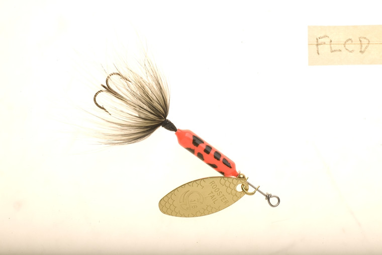 Wordens 208-FLCD Rooster Tail - In-Line Spinner, 2 1/4", 1/8 oz - 208-FLCD Wordens 208-FLCD Rooster Tail - In-Line Spinner, 2 1/4", 1/8 oz - 208-FLCD
