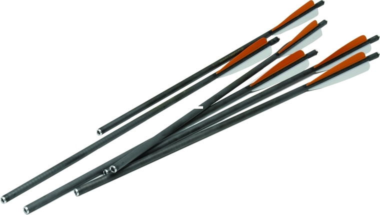 Excalibur 22CAV-6 Firebolt Carbon - Bolts 6Pc 20" w/Vanes & inserts - 22CAV-6