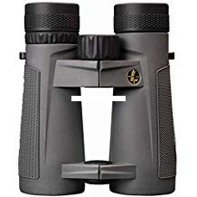 Leupold 174483 BX-5 Santiam HD - 10x42mm Gray - 174483
