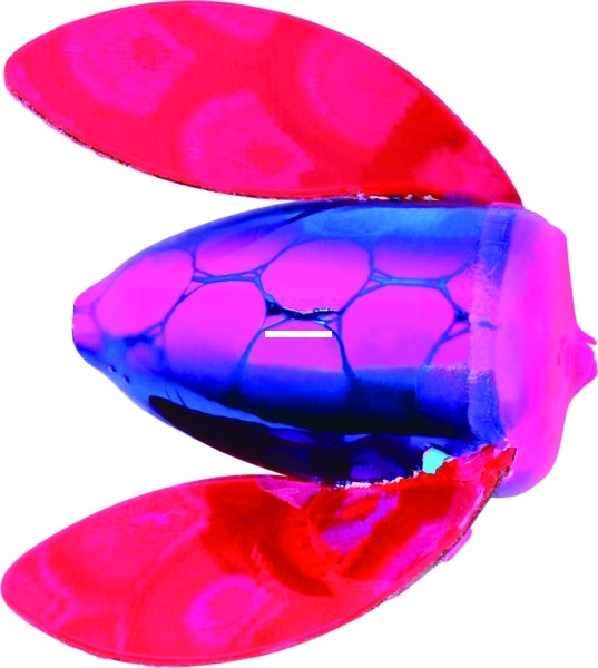 Wordens 066-MR-MP Spin-N-Glo Winged - Drift Bobber, #4, Misty River with - 066-MR-MP