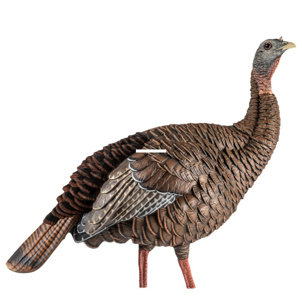 Avian-X AVX8106 HDR Hen Turkey - Decoy, 2 Removable Heads - AVX8106