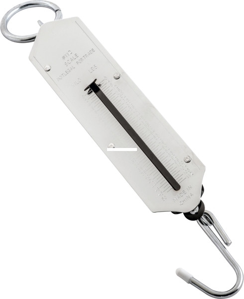 Danielson 112 Scale 100 Lb -  - 112