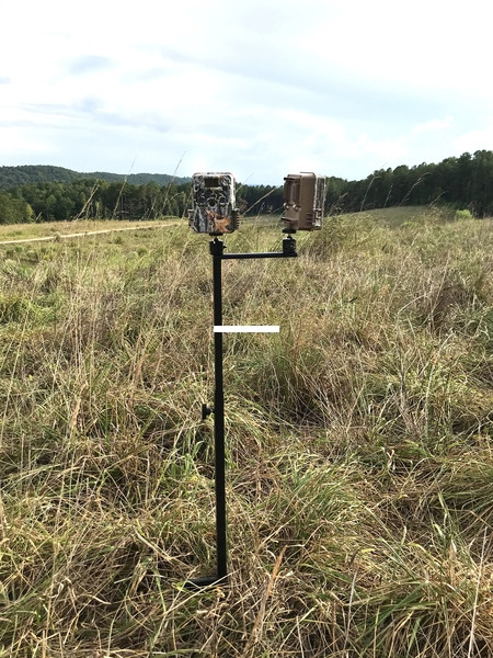 Browning BTC CFM Field Mount -  - BTC CFM