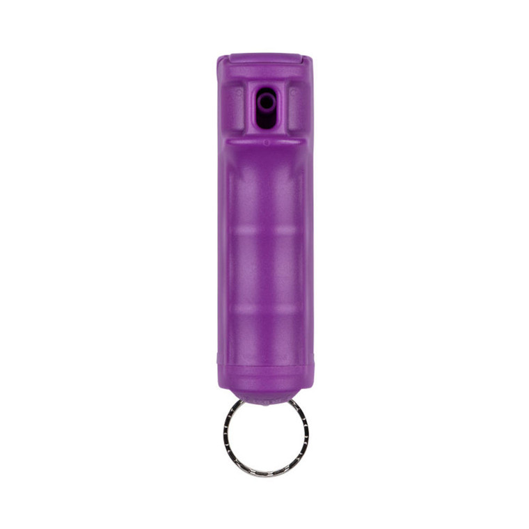 Security Equipment - Case Of 72 Purple Flip Top No Snap Clip Small Clam - F15PRUSG02
