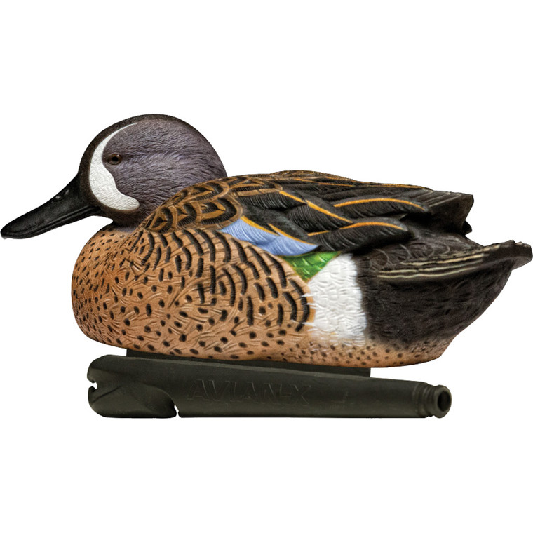 AvianX Top Flight Duck Decoys Blue-Winged Teal 6 pk. - AVX-AVX8080
