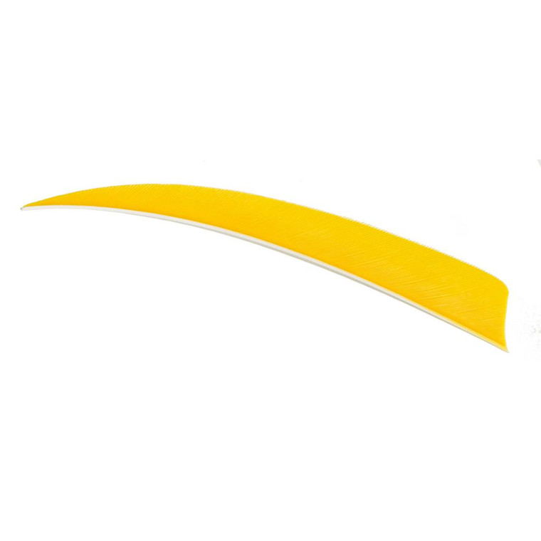 Trueflight Shield Cut Feathers Yellow 5 in. RW 100 pk. - 11904