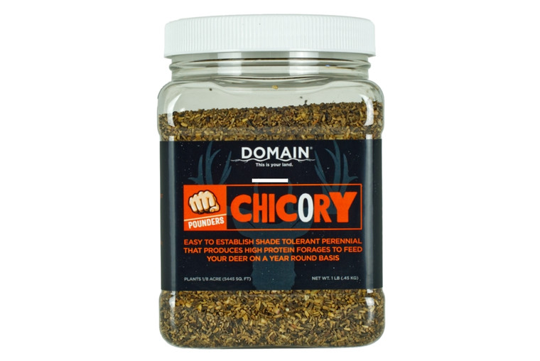 Domain DCS1LB Chicory Pounder, 1 - lb., 1/8 Acre - DCS1LB