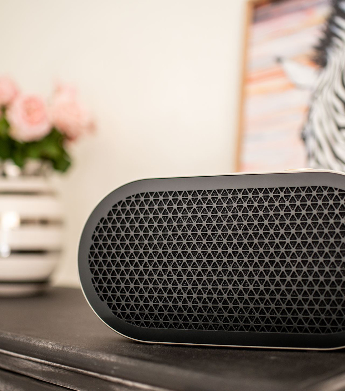 Dali Katch G2 Portable Bluetooth Speaker