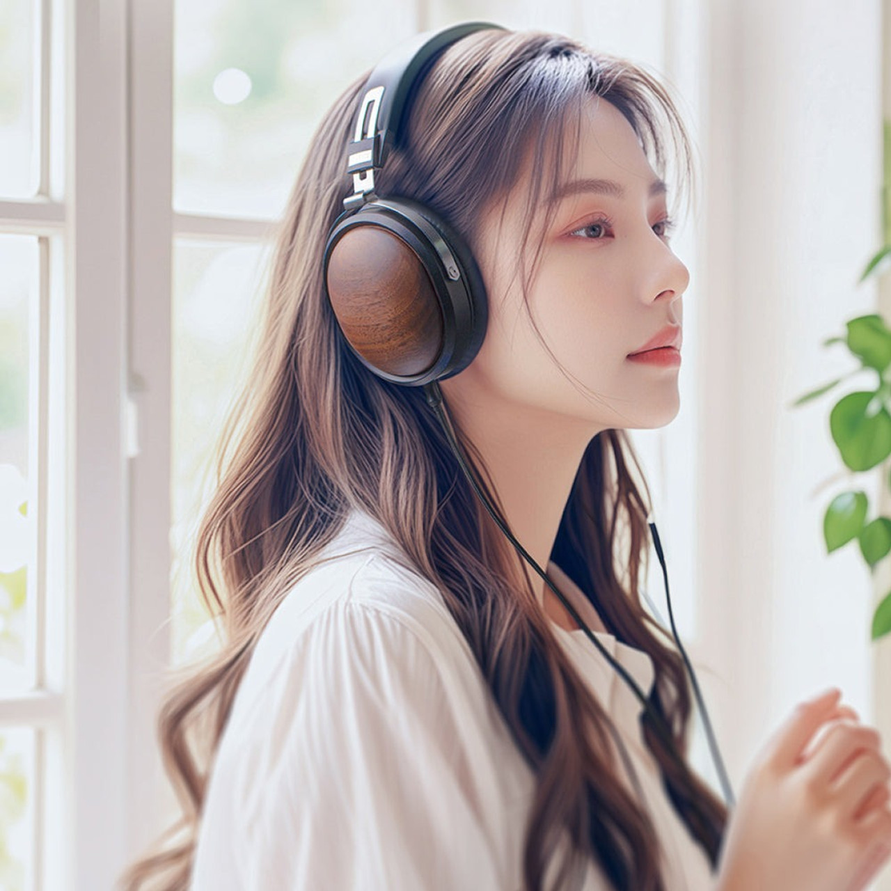 FiiO FT1 ビーチウッド Fiio FT1